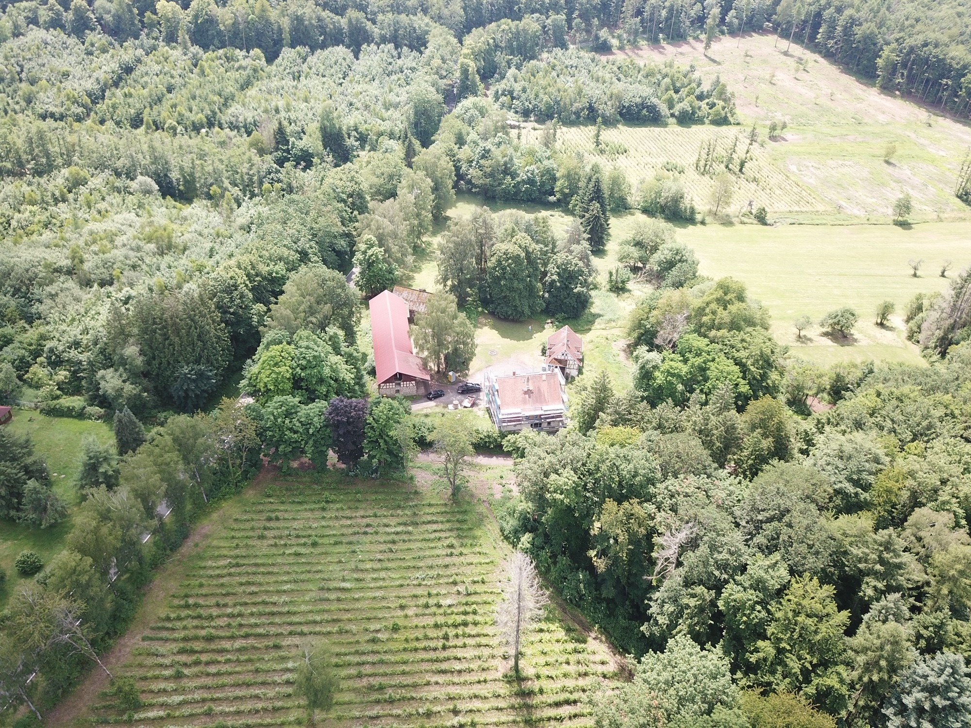Luftbild Schellnhof 1